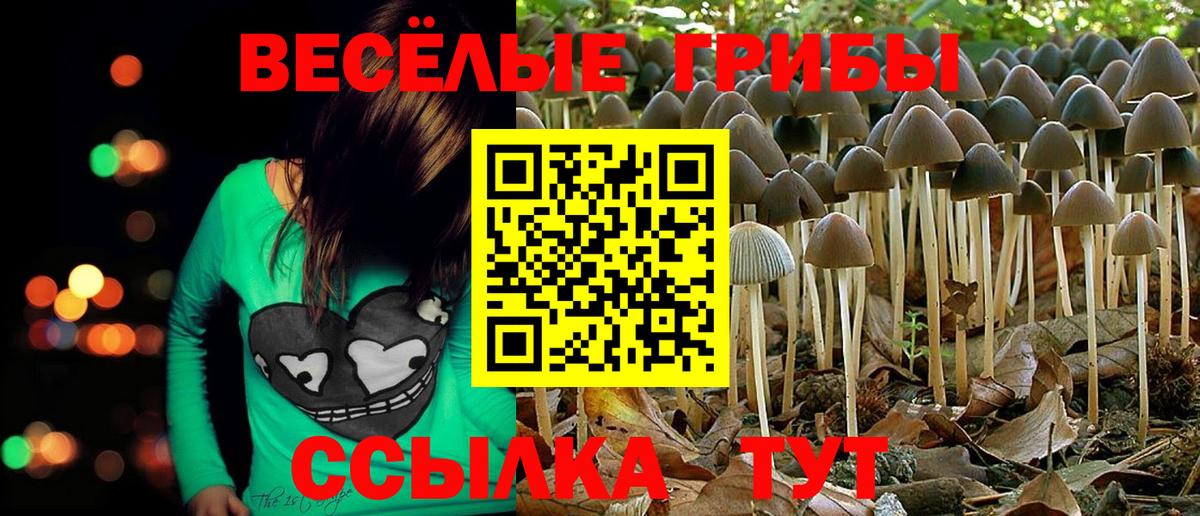 Галлюциногенные грибы MAGIC MUSHROOMS Петрозаводск