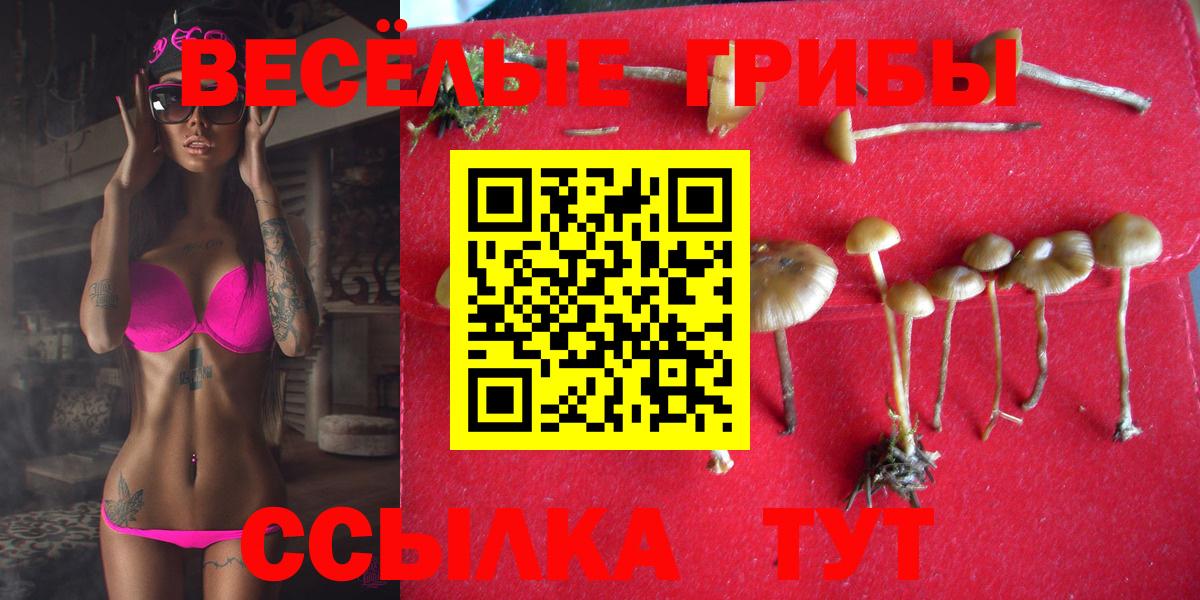 Петрозаводск  Галлюциногенные грибы Cubensis  Вход с VPN  Псилоцибиновые грибы Magic Shrooms 